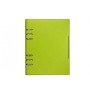 ALICANTE Agenda sa mehanizmom A5 Apple green