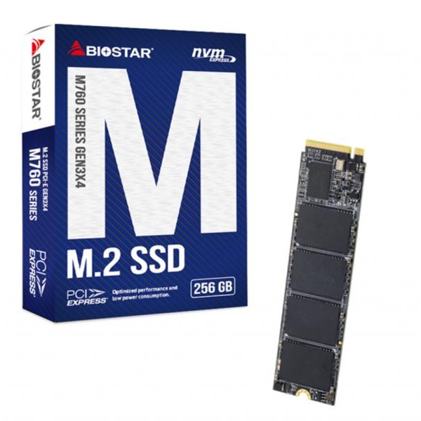 BIOSTAR M760 256GB 2800MBs/1700MBs SSD M.2 NVME