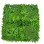 Bolzz Zeleni zid 3D Amazon 1 100x100 cm