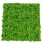Bolzz Zeleni zid 3D Amazon 2 100x100 cm