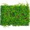Bolzz Zeleni zid 3D Earth 40x60 cm