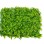 Bolzz Zeleni zid 3D Flora 40x60 cm