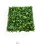 Bolzz Zeleni zid 3D Garden 50x50 cm