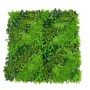 Bolzz Zeleni zid 3D Lux 100x100 cm