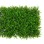 Bolzz Zeleni zid 3D Wild 40x60 cm