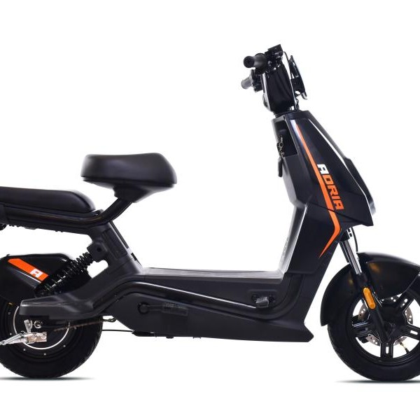 CAPRIOLO Bicikl E-bike E1 RX20 (292026)