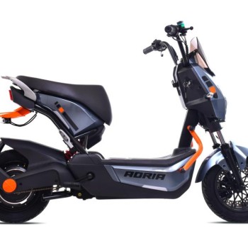 CAPRIOLO Bicikl E-bike E2 RX20 sivi (292027-S)