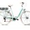 CAPRIOLO DIANA E-BIKE 28''/6HT pistacija