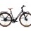 CAPRIOLO E-BIKE BELT DRIVE crno-sivo 925841