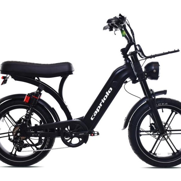 CAPRIOLO E-bike E-MATIC 20'' (926810)