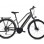 CAPRIOLO E-BIKE ECO 700.3.2 sivo 923812-48