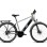 CAPRIOLO E-bike eco 700.3 man sivo-zeleno