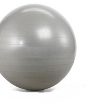 CAPRIOLO Pilates lopta 75cm sivo  291360-S