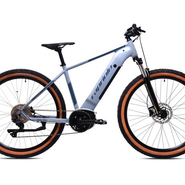 CAPRIOLO Volta 9.4 E-bike 29'' sivi (926801-18)