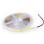 DAWN HL 2835-60-WW 12V LED traka