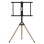 GEMBIRD TVS-75ST-01 32”-75'' podno postolje za TV