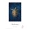 Hahnemuhle FineArt Baryta Foto papir 10x15cm 30kom