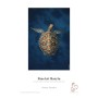 Hahnemuhle FineArt Baryta Foto papir 10x15cm 30kom