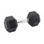 HAWK Bučica hex teg 10 kg 291235