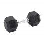 HAWK Bučica hex teg 12.5 kg 291236