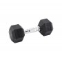 HAWK Bučica hex teg 6 kg