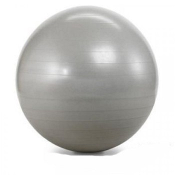 HAWK Pilates lopta 55cm silver