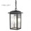 HOME LIGHT X23020-H Viseći fenjer