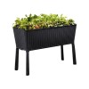 KETER Saksija sa nogarima Easy Grow 120L 114x49,3x75,7cm CU 230298