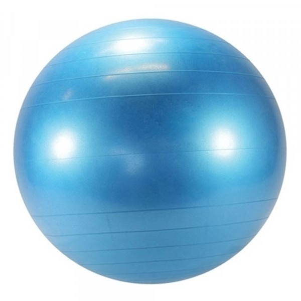 LEDRAPLASTIC Lopta Body ball 95