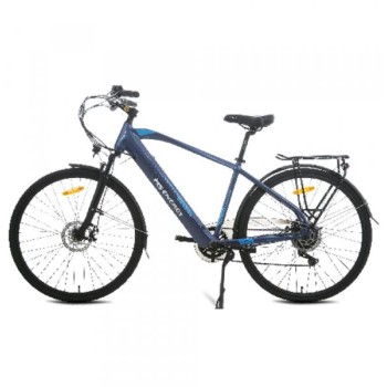 MS ENERGY EBike C11 M