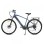 MS ENERGY EBike C11 M