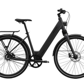 MS ENERGY Električni bicikl eBike c300