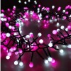 NOVEEN Lampice za jelku sa 288 roze i belih LED dioda