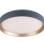 RABALUX Liatris2 71185 LED plafonjera