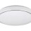 RABALUX Trevor2 71181 LED plafonjera