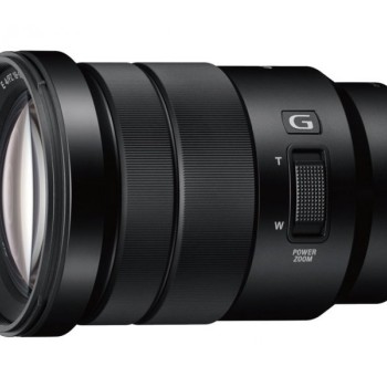 SONY SELP 18-105mm F4 G (crop)