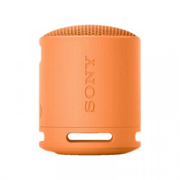 SONY Zvučnik SRS-XB100D
