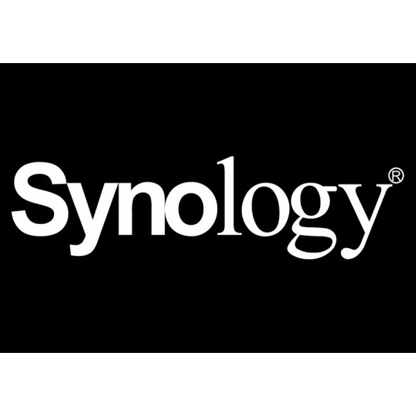 SYNOLOGY Network Interface Cards E10G22-T1-Mini