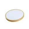 XLED LED plafonjera 36W Tom Wood