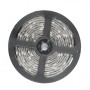 AVIDE ABLS12V5050-30RGB65 LED traka 12V 7.2W 5m