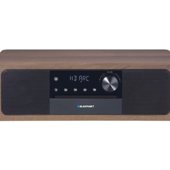 BLAUPUNKT MS22BT Mikro linija