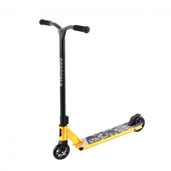 CAPRIOLO A2-EXS10 TROTINET-ROMOBIL GOLD