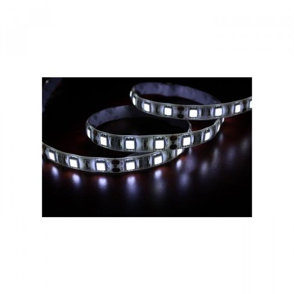 COMMEL LED Traka 5050 SMD Hladno Bela Samolepljiva 3m