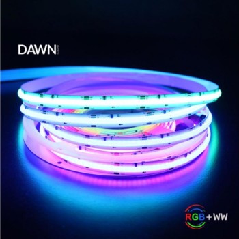 DAWN HL COB RGBWW 24V LED traka