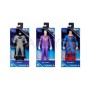 DEXY CO DC UNIVERSE FIGURA ASST