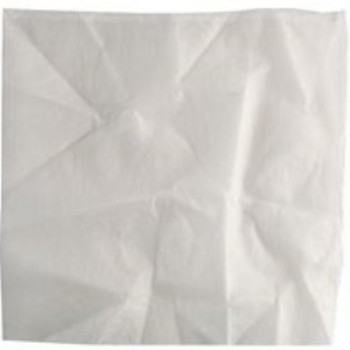 EINHELL Tekstilni filter – za DUO- INOX serije, 2351140