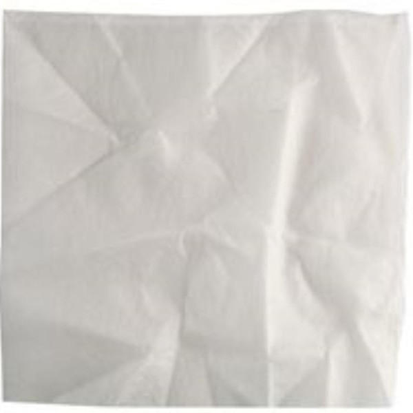 EINHELL Tekstilni filter – za DUO- INOX serije, 2351140