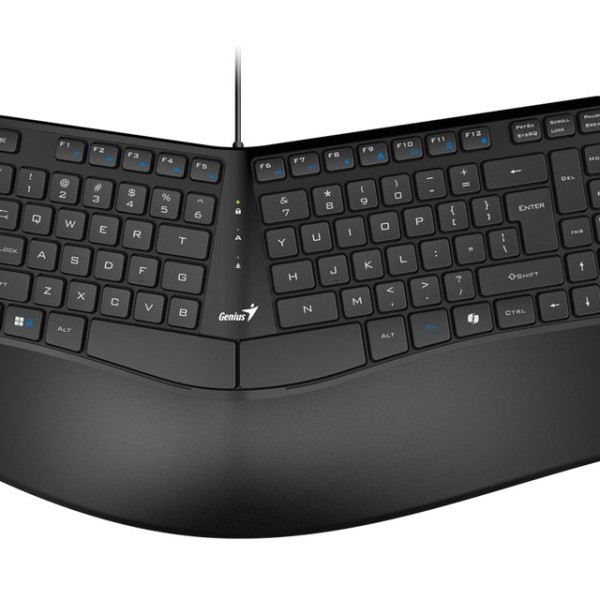 GENIUS Ergo KB-700 USB YU crna tastatura