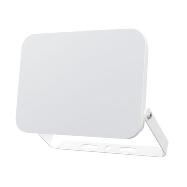 HOME BRAYTRON CCT LED reflektor 100W
