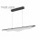 HOME LIGHT Vesta 598 visilica 40W 3000K CRNA/MESING